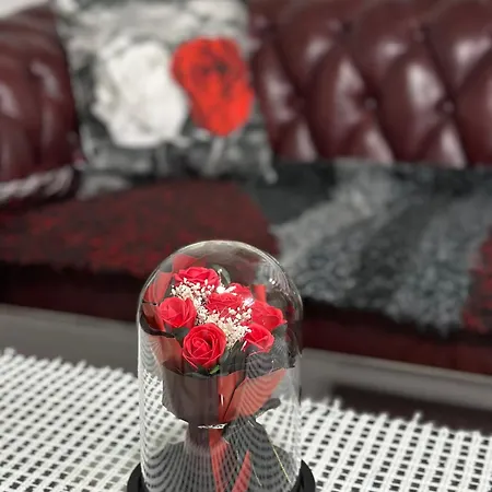 Orhideja Za 4 Osobe * Sanski Most